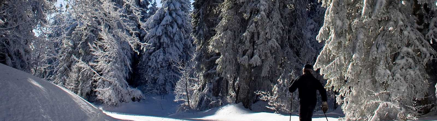 Cross Country Skiing